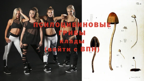 твердый Бронницы