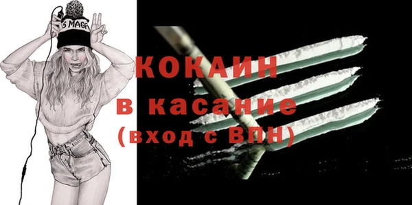 индика Бугульма