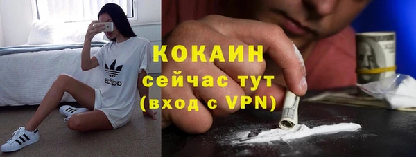 гидра Богданович