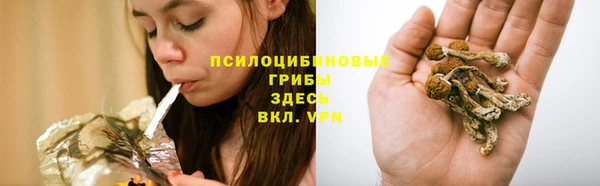 ГАЛЛЮЦИНОГЕННЫЕ ГРИБЫ Богородск