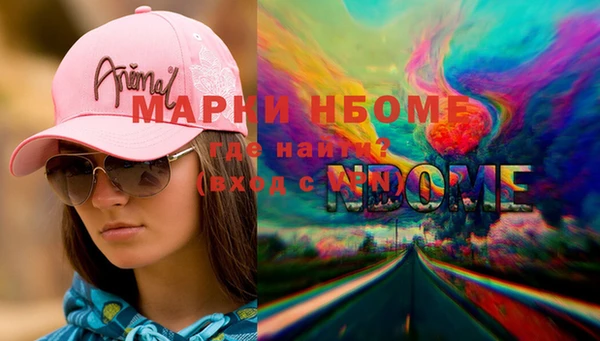 индика Бугульма