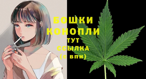 ГАЛЛЮЦИНОГЕННЫЕ ГРИБЫ Богородск