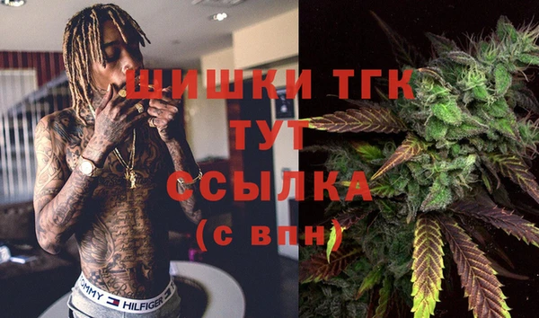 индика Бугульма