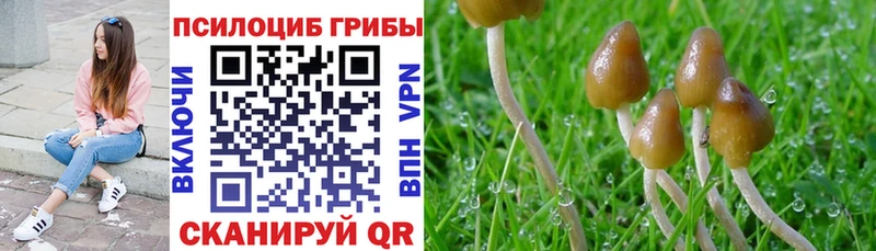 Псилоцибиновые грибы Magic Shrooms  Дальнегорск 